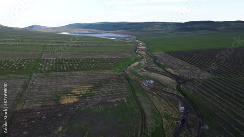 Agriculture Field Of The Almonds
