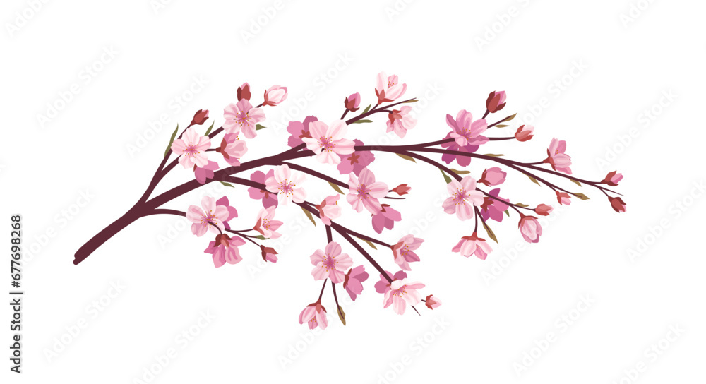 Sakura pink branch concept. Part of tree and plant. Japanese and asian garden. Flora and nature, wild life. Poster or banner. Cartoon flat vector illustration isolated on white background