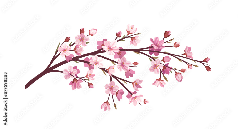 Fototapeta premium Sakura pink branch concept. Part of tree and plant. Japanese and asian garden. Flora and nature, wild life. Poster or banner. Cartoon flat vector illustration isolated on white background