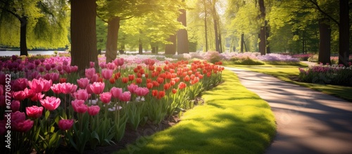 In the stunning backdrop of a lush green garden vibrant flowers bloom in brilliant hues of red orange and various colors adding to the natural beauty of the summer season The delicate petal