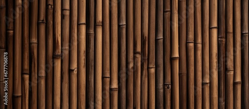 The vintage wood wall in my home has an abstract pattern of bamboo creating a unique and grunge inspired design with a blend of nature and texture making it the perfect background for a pla