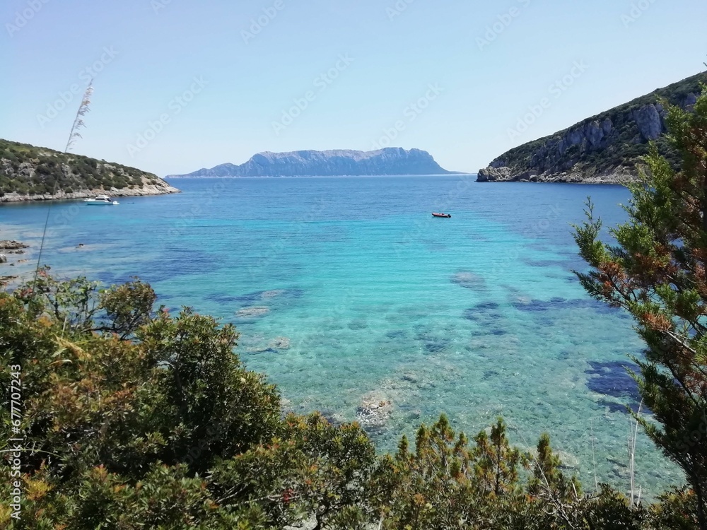 Fototapeta premium Scenic view of a rocky beach covered with green trees against the turquoise sea