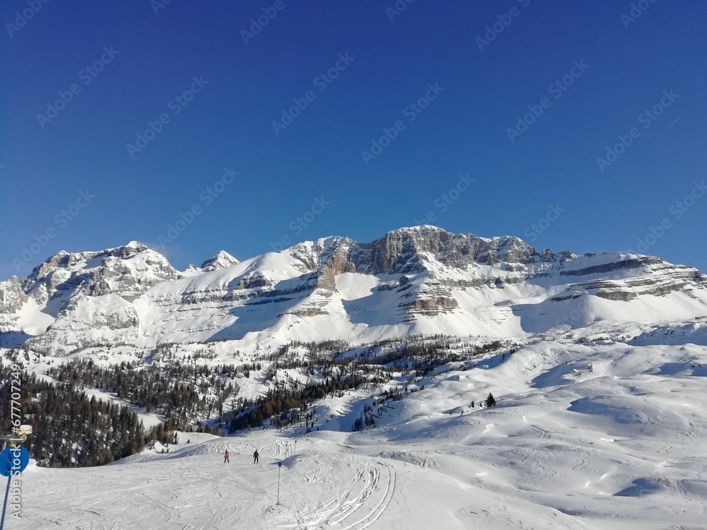 Scenic view of a rocky mountains range covered with snow and pine forests in winter