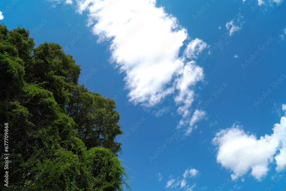 sunny blue sky in autumn sunny blue sky in autumn