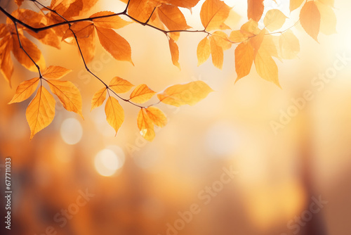 blurred autumn background with leaves