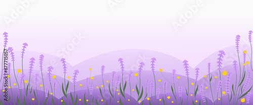 Lavender flower border. Horizontal banner or floral background, lavendar plants, violet blossomed herbs. Lavender field , Vector illustration.