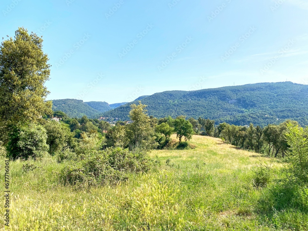 Beautiful shot of a rural green field with trees in Catalonia, Spain Beautiful shot of a rural green field with trees in Catalonia, Spain