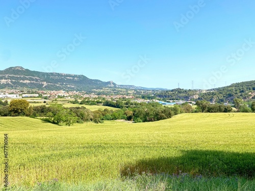 Beautiful shot of a rural green field with trees in Catalonia, Spain