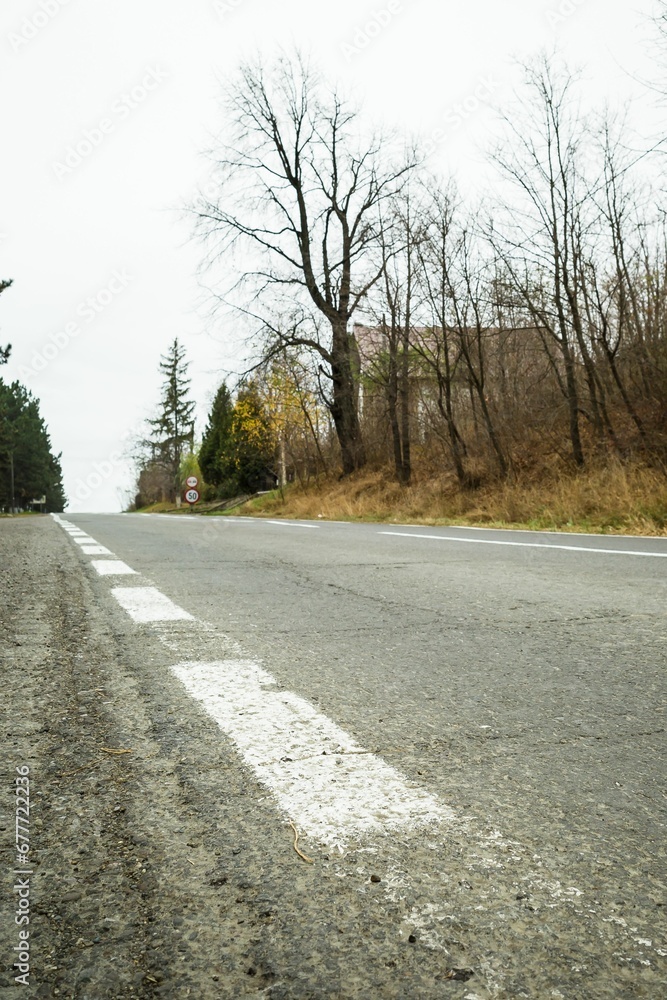 Natural view of an asphalt road surrounded with trees in countryside