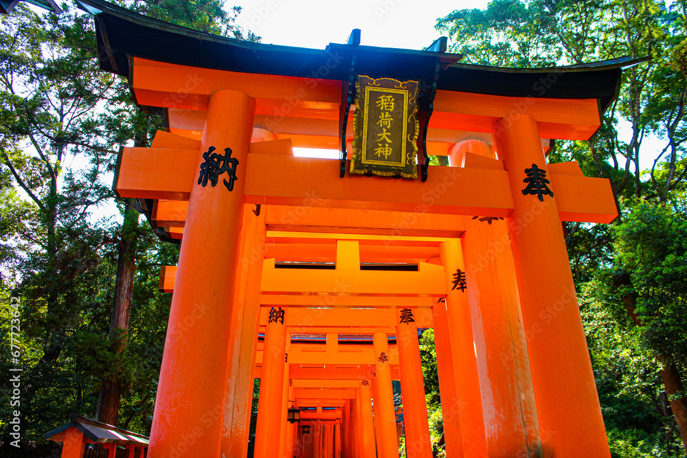 Fushimi Inari Shrine, Kyoto, Japan | Daytime Landscape View of Fushimi Inari Orange Torii Gates Amongst Green Trees | Summer | July, 2023