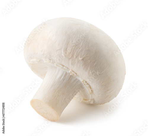 One whole fresh champignon mushroom on white background