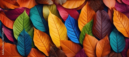  a group of multicolored leaves are arranged in the shape of a rectangle on top of each other.