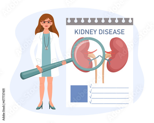 Female doctor with a magnifying glass examines the human kidney disease, urinary system. The concept of science and medicine. Vector