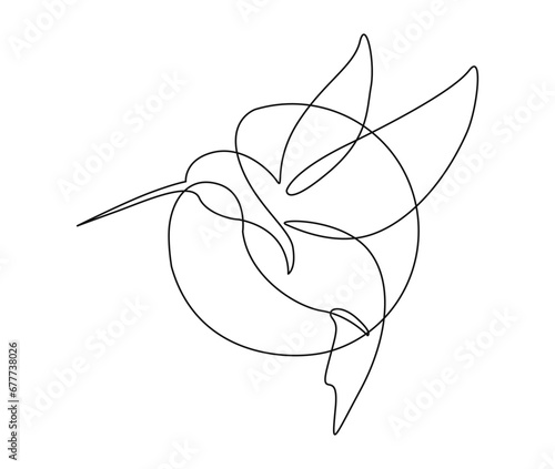 Continuous one line drawing of collibri bird . Simple humming bird single outline vector illustration.