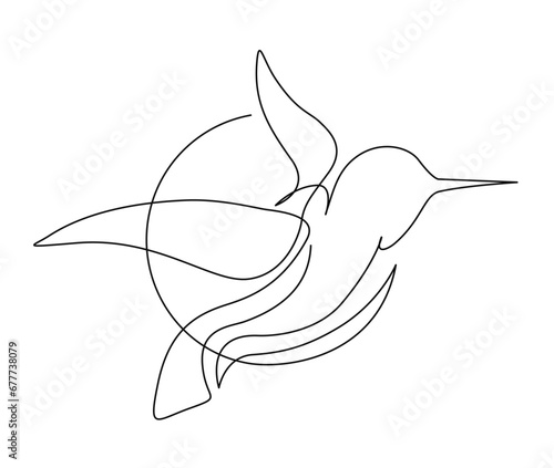 Continuous one line drawing of collibri bird . Simple humming bird single outline vector illustration.