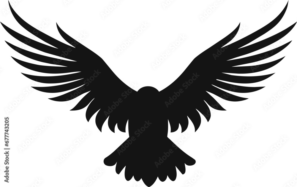 Obraz premium Bald Eagle silhouette isolated on white