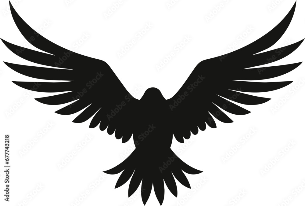 Fototapeta premium Bald Eagle silhouette isolated on white