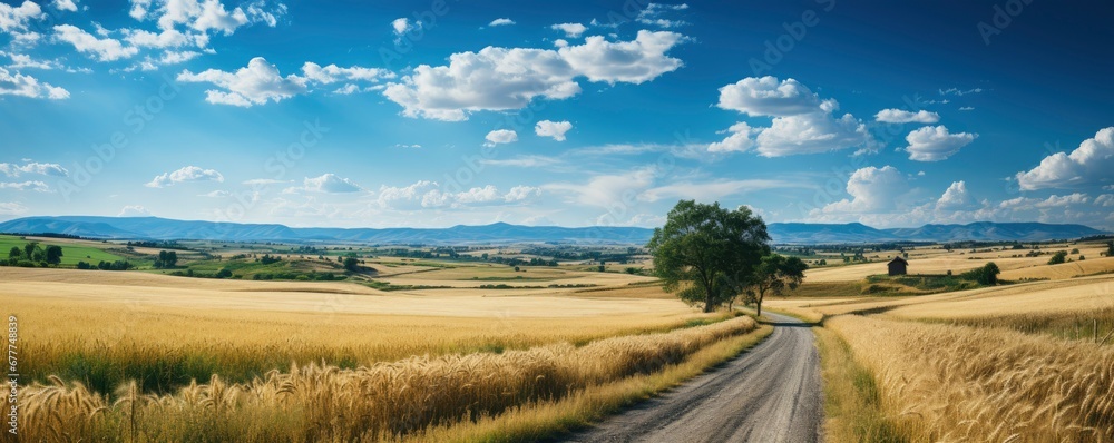Fototapeta premium Rural landscape with wheat field on sunset, Generative AI