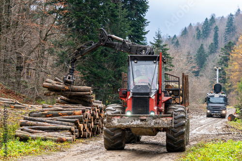 Specialized tractor forwarder folding wood in the forest. The Carpathians  Poland.