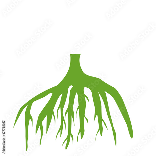 Tree Root icon vector 