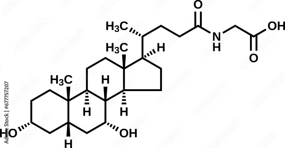 Glycochenodeoxycholic acid structural formula, vector illustration Glycochenodeoxycholic acid structural formula, vector illustration