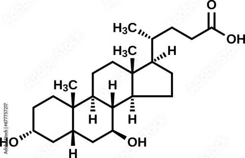 Ursodeoxycholic acid structural formula, vector illustration