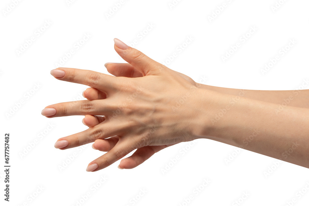 Woman hand isolated on white background.