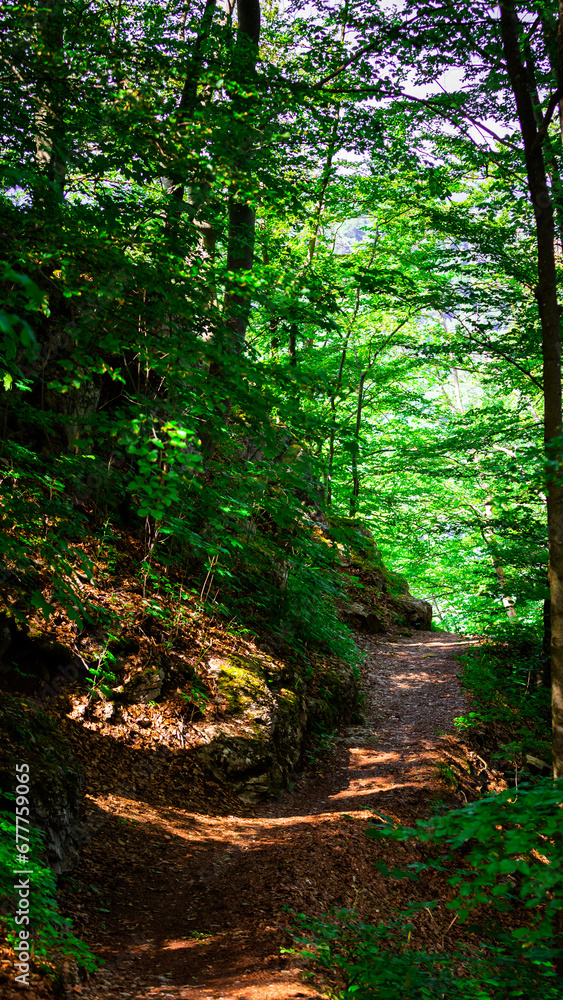Fototapeta premium Rock on a slope on mountain in forest road