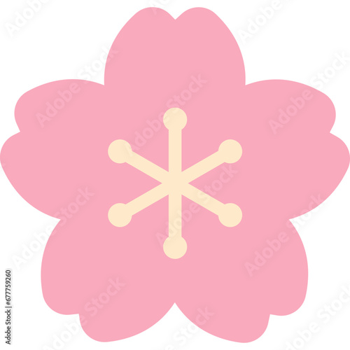 sakura flower