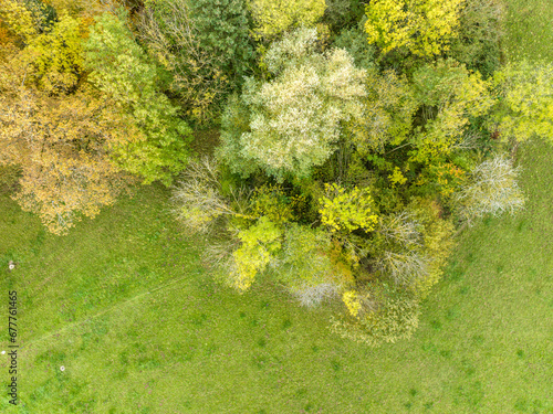 Aerial view of forest in autumn. Copy space on green meadow.