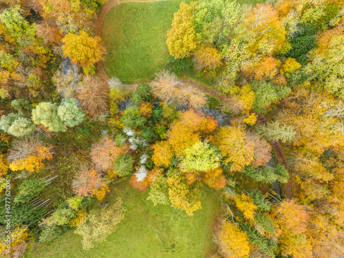 Aerial view of forest in autumn. Copy space on green meadow. © Mario
