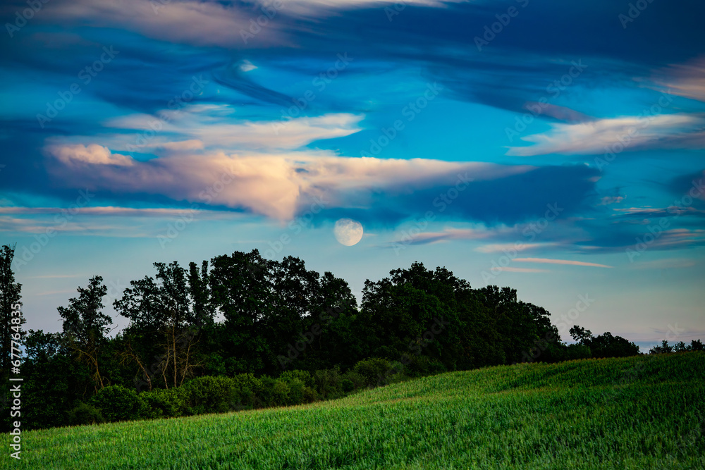 Moon over the field cloud, sunset