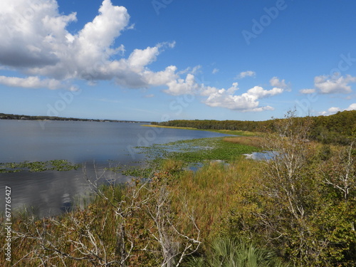 Beautiful Lake Tarpon, nature preserve.