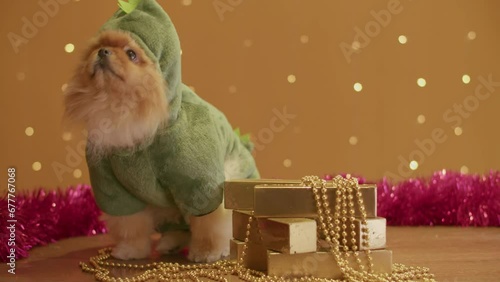 Decorated festive price in honor of the year of the green dragon according to the Chinese calendar. 