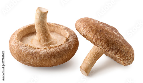 Two whole fresh Shiitake mushrooms on white background