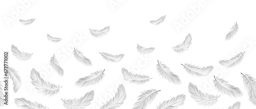 Seamless border, gray feathers falling on a white background. Feather abstract concept of freedom. Background with copy space, vector	