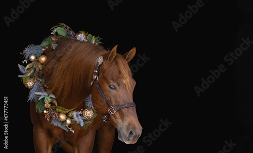 Christmas Horse © Terri Cage 