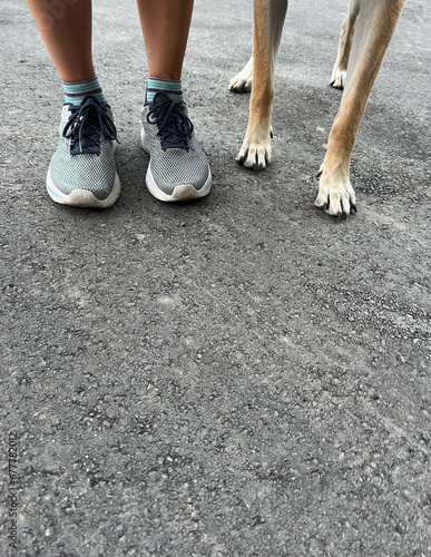 legs and feet of woman in running shoes standing next to dog paws and legs side-by-side ready to run together