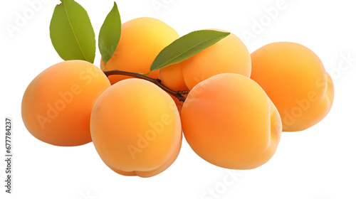 Apricots on transparent background, fruit on white background, fruit commercial photography