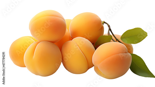 Apricots on transparent background, fruit on white background, fruit commercial photography