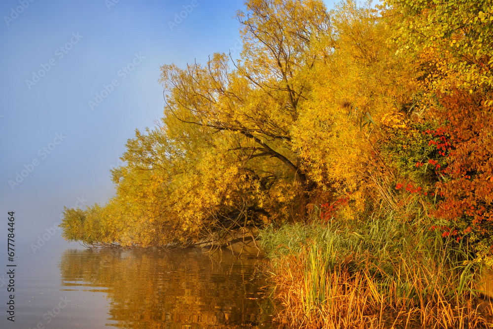 Colorful autumn trees at a lakeside when the sun comes out on a misty morning Colorful autumn trees at a lakeside when the sun comes out on a misty morning
