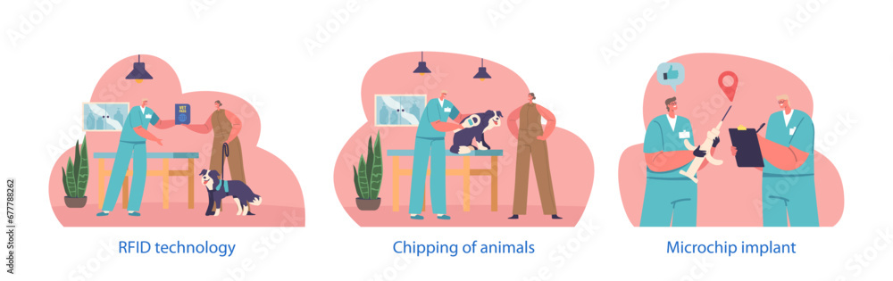 Isolated Vector Elements With Vet Doctor Characters Carefully Inserts A Tiny Microchip Implant Into The Animal Skin