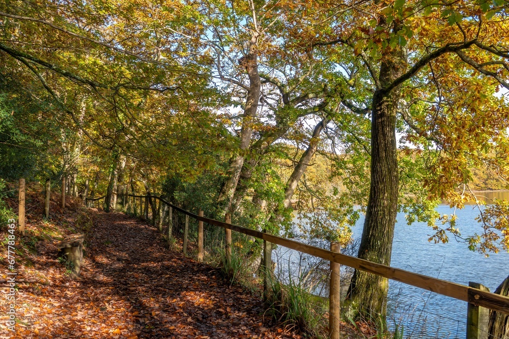 footpath through Autumn coloured trees with The River Hamble in the background