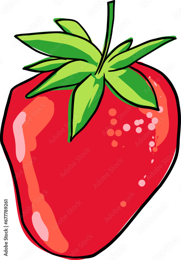 Strawberry hand drawn vector illustration. Strawberry hand drawn vector illustration.