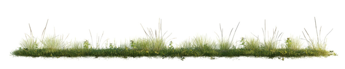 Green grass isolated on transparent background. 3D render.