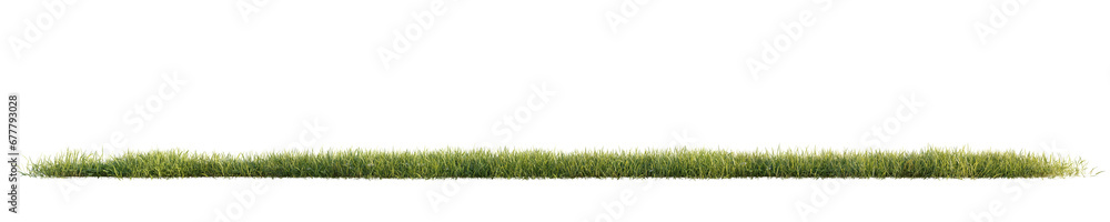 Green grass isolated on transparent background. 3D render. Green grass isolated on transparent background. 3D render.