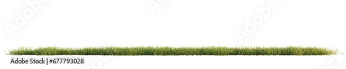 Green grass isolated on transparent background. 3D render. © snesivan