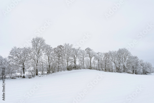 snow covered trees on the countryside photo