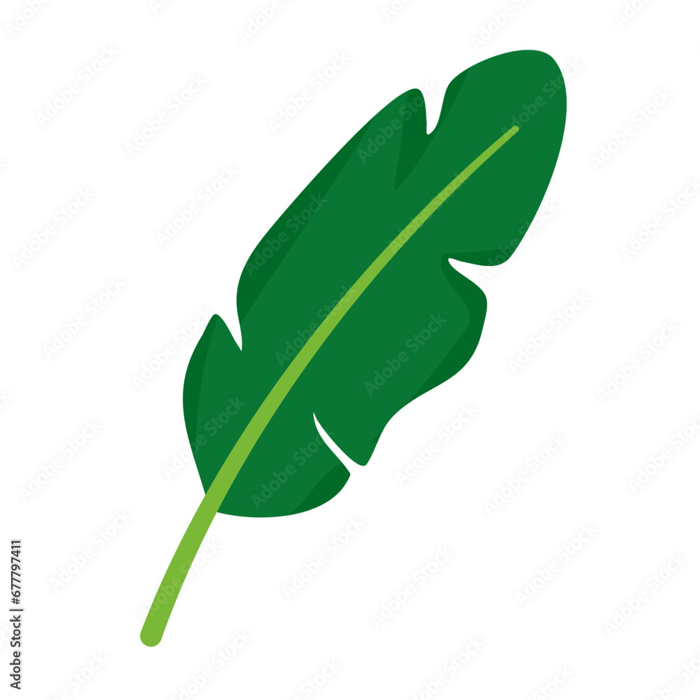 Vector of Banana Leaf Cartoon Illustration Vector of Banana Leaf Cartoon Illustration
