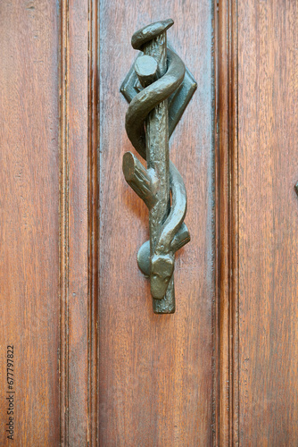 snake shaped knocker on a wooden door
